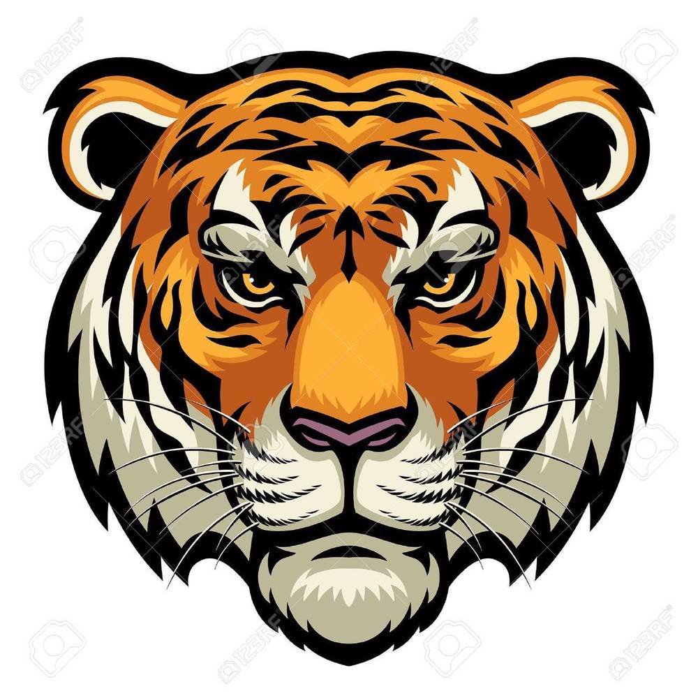 tiger