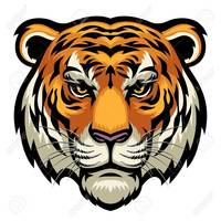 Reguar Season Ends District Begins for Tiger Nation