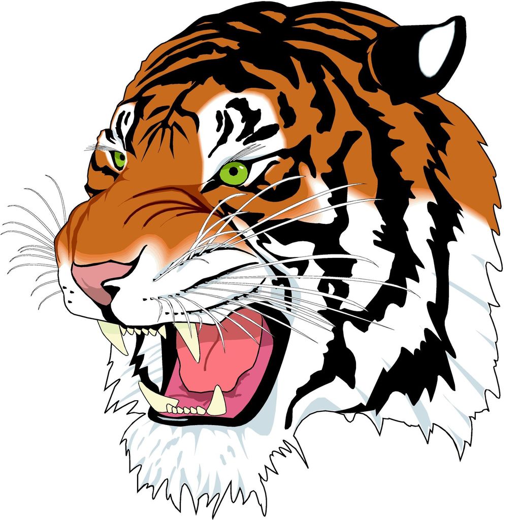 Go Tigers!!