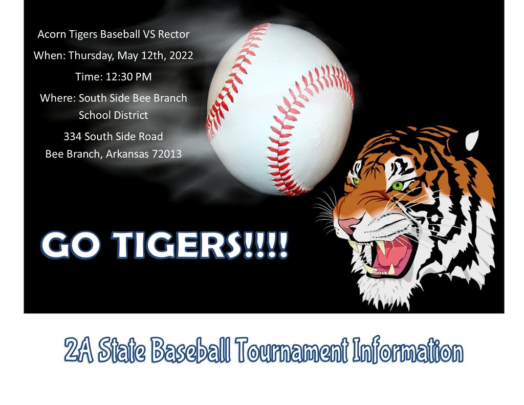Go Tigers!!